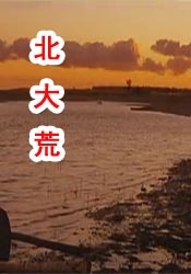 英姐姐